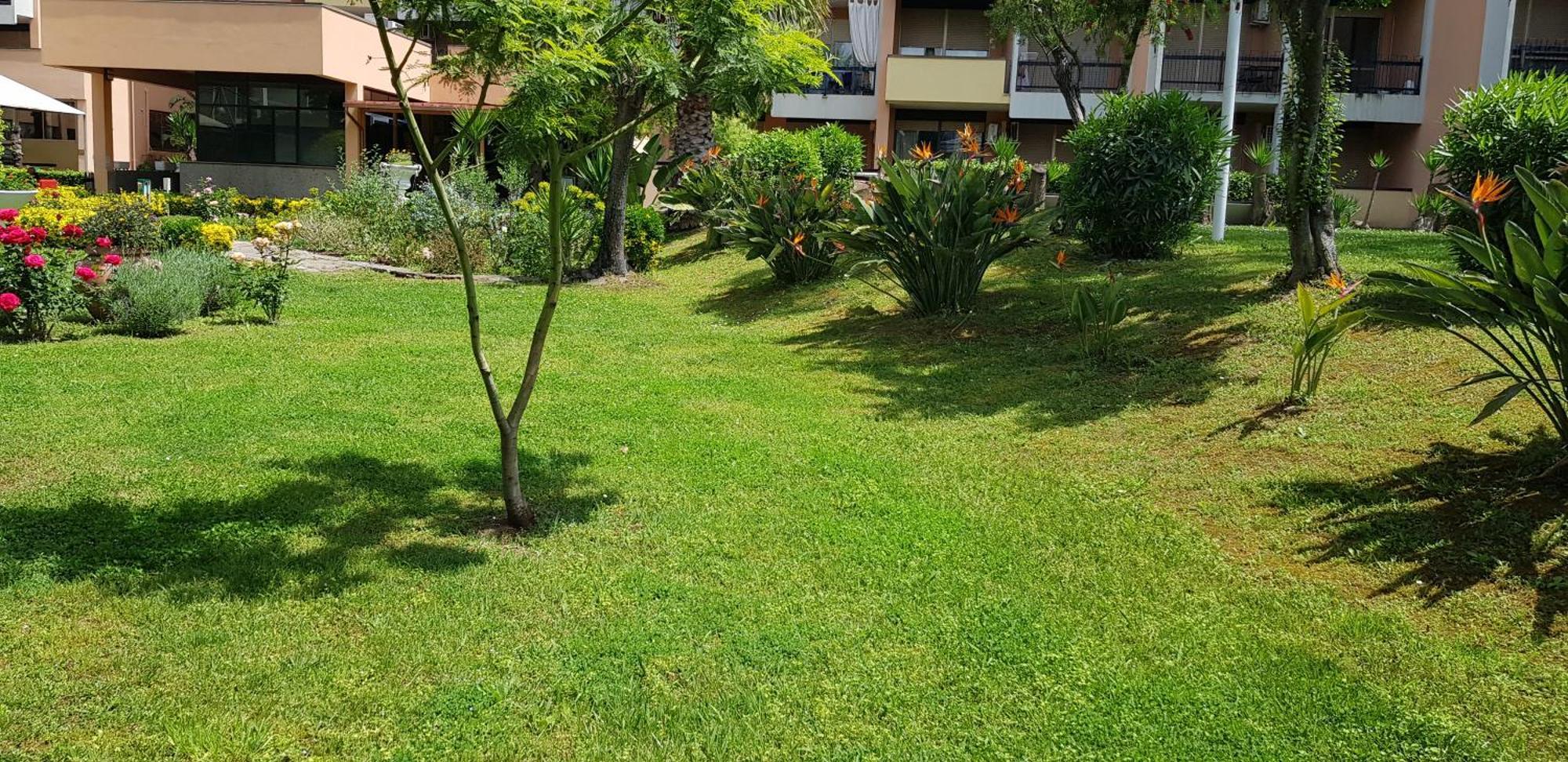 Green Oasis Рим Екстер'єр фото